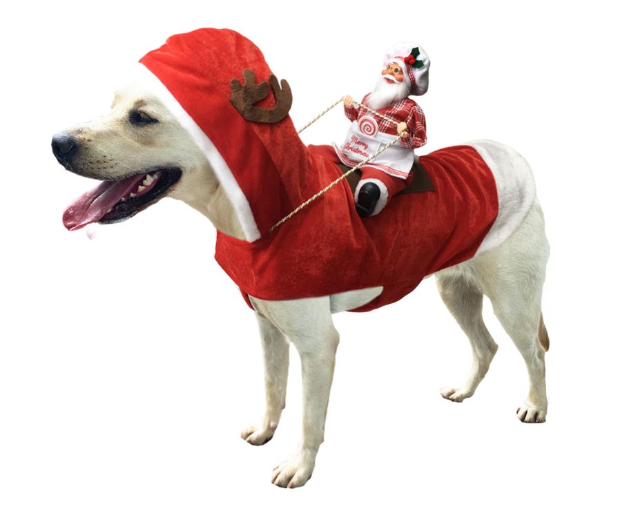 Pet Christmas costume