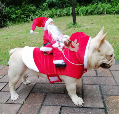 Pet Christmas costume