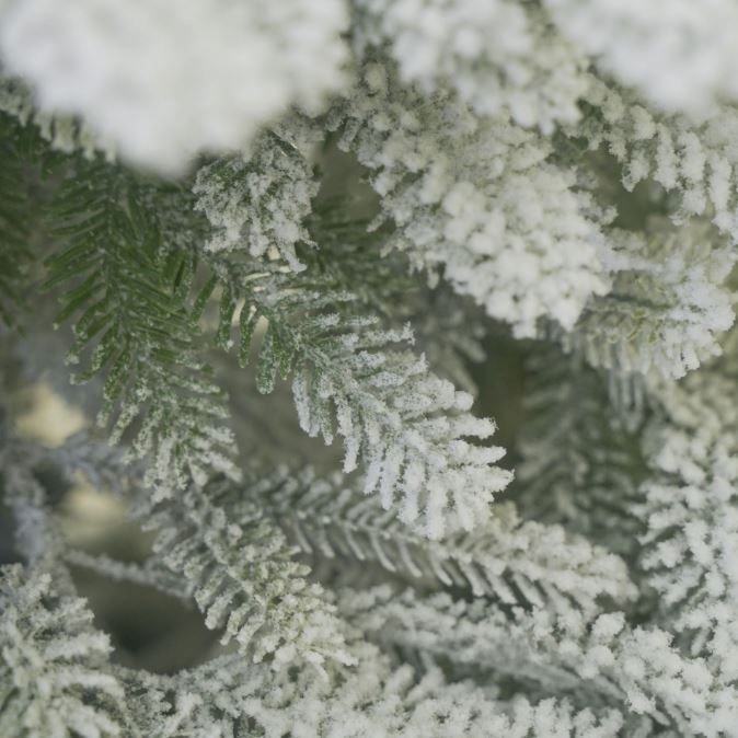 PE snow-covered tree with encrypted branches