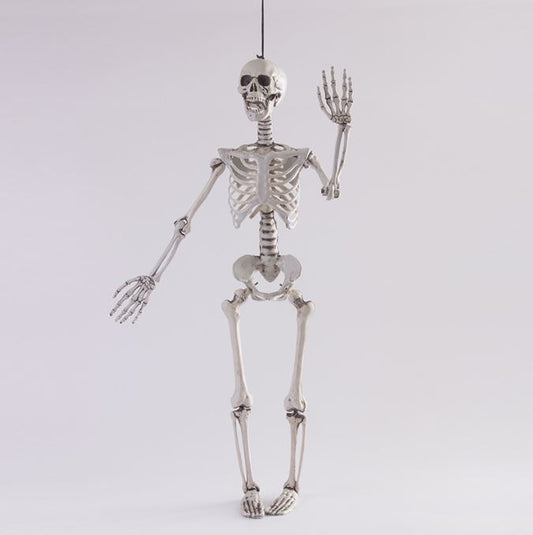 Halloween simulation skeleton human skeleton model skeleton props