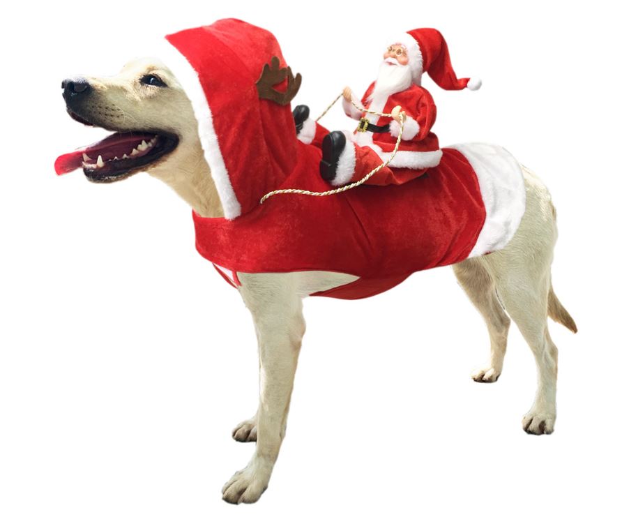 Pet Christmas costume